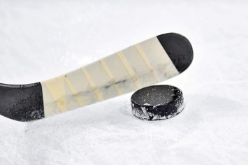 Новокузнецкие хоккеисты всухую разбили гостей из Челябинска