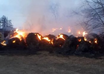 В двух амурских деревнях горело сено