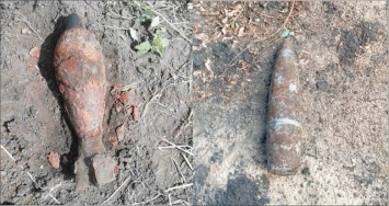 Белгородец нашел у себя в огороде минометную мину