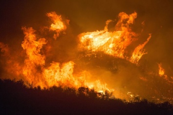 Пожары в ХМАО охватили почти семь тысяч гектаров леса