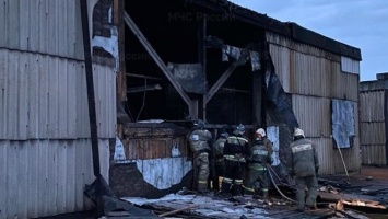 Пожар в Барнауле: горел крупный производственный цех