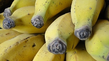 Ученые ответили, в чем польза перезрелых бананов