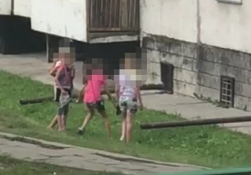 Полиция проводит проверку по сообщению жителей Заринска об издевательствах детей над голубем