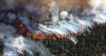 В Свердловской области предупреждают о высоком риске возникновения пожаров
