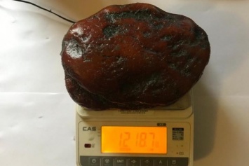 На Янтарном комбинате нашли самородок в 1,2 кг и назвали его «Десантник» (фото)