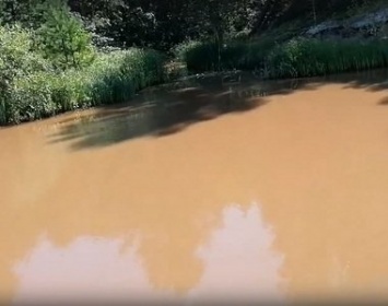Минприроды Карелии проверяет реку, вода в которой превратилась в коричневую жижу