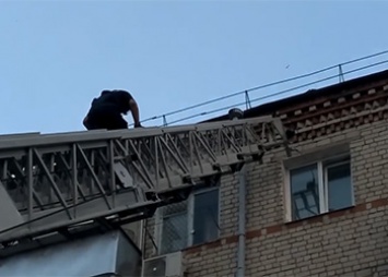В Благовещенске спасатели снимали с крыши стрижа