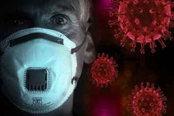 Депутат Госдумы нашел общий симптом смертельного вируса SFTS из Китая с COVID-19