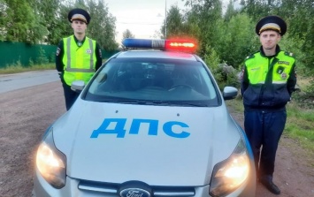 В Карелии сотрудники ГАИ патрулируют подъезды к дачным участкам