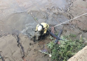 В Югре сотрудники пожарной службы помогли выбраться мужчине, который застрял в грязи на берегу реки
