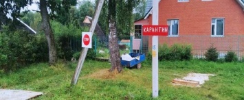 В Калужской области продолжают кремировать свиней