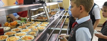Министр образования Карелии рассказал, сколько учеников начальной школы получит бесплатное питание