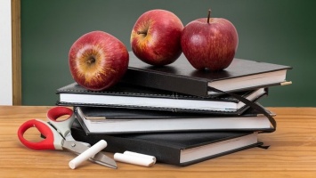 «Теоретически готовы»: первые четверти в алтайских школах пройдут в особом режиме