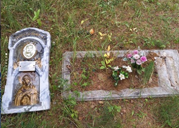 По кладбищу в Тамбовском районе «прогулялись» вандалы