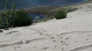 Загадочные следы на песке обнаружили в Алтайском крае