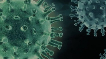 Почему дети являются скрытыми носителями коронавируса