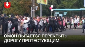 Тысячи протестующих женщин прорвали оцепление ОМОНа в Минске
