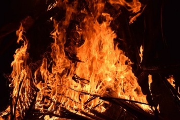 Пожар в поселке староверов унес жизни трех человек в Красноярском крае