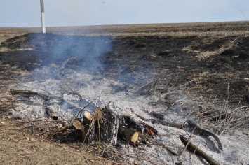 Белгородский пенсионер едва не спалил соседей, сжигая сухостой