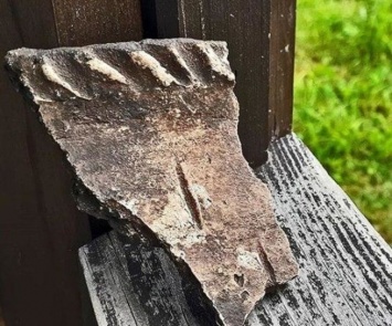 Кузбасские археологи нашли более 400 артефактов на территории оздоровительного лагеря