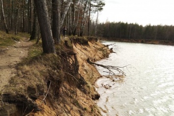 Суд назначил экспертизу ущерба от вырубок леса за 20 лет в поселке Космодемьянского