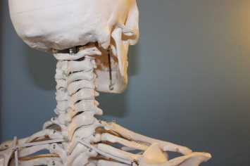 Ученые разработали технологию создания сплава для схожего с человеческой костью импланта