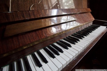 Правительство передает областным муниципалитетам 10 пианино