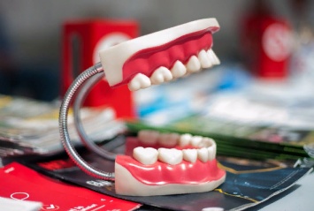 Эксперты развенчали мифы, связанные с прорезыванием зубов у детей