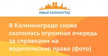 В Калининграде снова скопилась огромная очередь за справками на водительские права (фото)