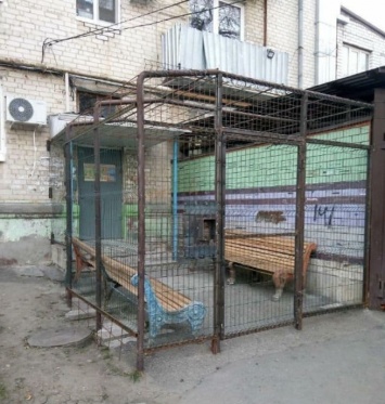 Жильцы многоэтажки в Ставрополье заперли свой подъезд в клетку