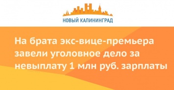 На брата экс-вице-премьера завели уголовное дело за невыплату 1 млн руб. зарплаты