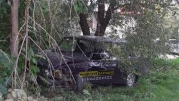 Водитель «Жигули» протаранил дерево в Барнауле