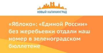 «Яблоко»: «Единой России» без жеребьевки отдали наш номер в зеленоградском бюллетене