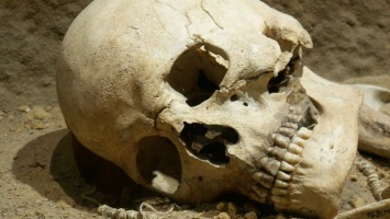 Два черепа, завернутых в рубашки, нашли на одной из улиц Барнаула