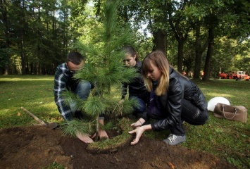 В Нижневартовске семьи с детьми могут бесплатно посадить дерево
