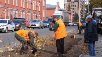 В Барнауле началась осенняя посадка деревьев
