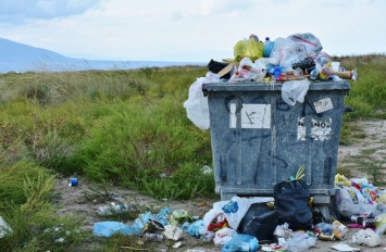 Счетная палата назвала ситуацию со сбором мусора в России "неблагополучной"