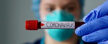 В России спрогнозирован пик госпитализаций с коронавирусом