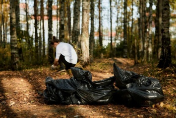 Петрозаводчане приняли участие в плоггинг-забеге и очистили территорию парка у «Лотос Plaza»