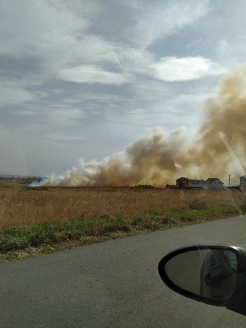 В Белгородской области одновременно тушат четыре природных пожара