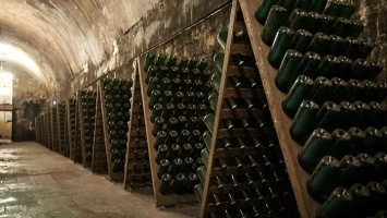 Абрау-Дюрсо: экскурсия на завод шампанских вин