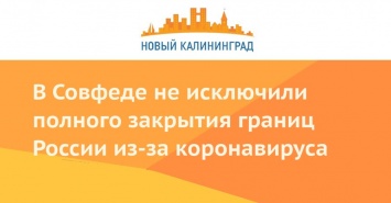 В Совфеде не исключили полного закрытия границ России из-за коронавируса