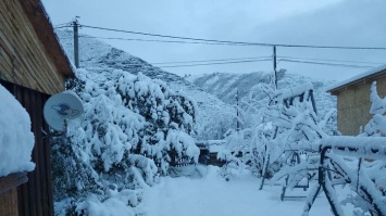 Жители Алтайского края делятся фотографиями первого снега