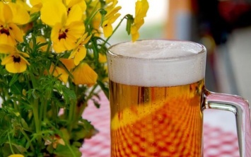 Детский лагерь РЖД заказал поставку более 800 бутылок пива