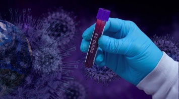 Специалисты рассказали, у кого чаще всего выявляют антитела на коронавирус в Барнауле