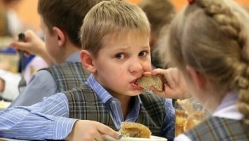 Сенаторам поступило свыше 3 000 жалоб на питание в региональных школах