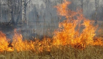 МЧС предупредило о высокой пожароопаности в некоторых районах Алтайского края