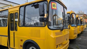 Школы Алтайского края обновляют автобусный парк