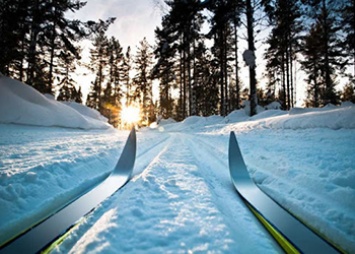 Лыжную трассу сделают в центре Белогорска