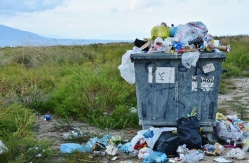 Хабаровский край стал одним из худших регионов РФ по темпам реализации мусорной реформы